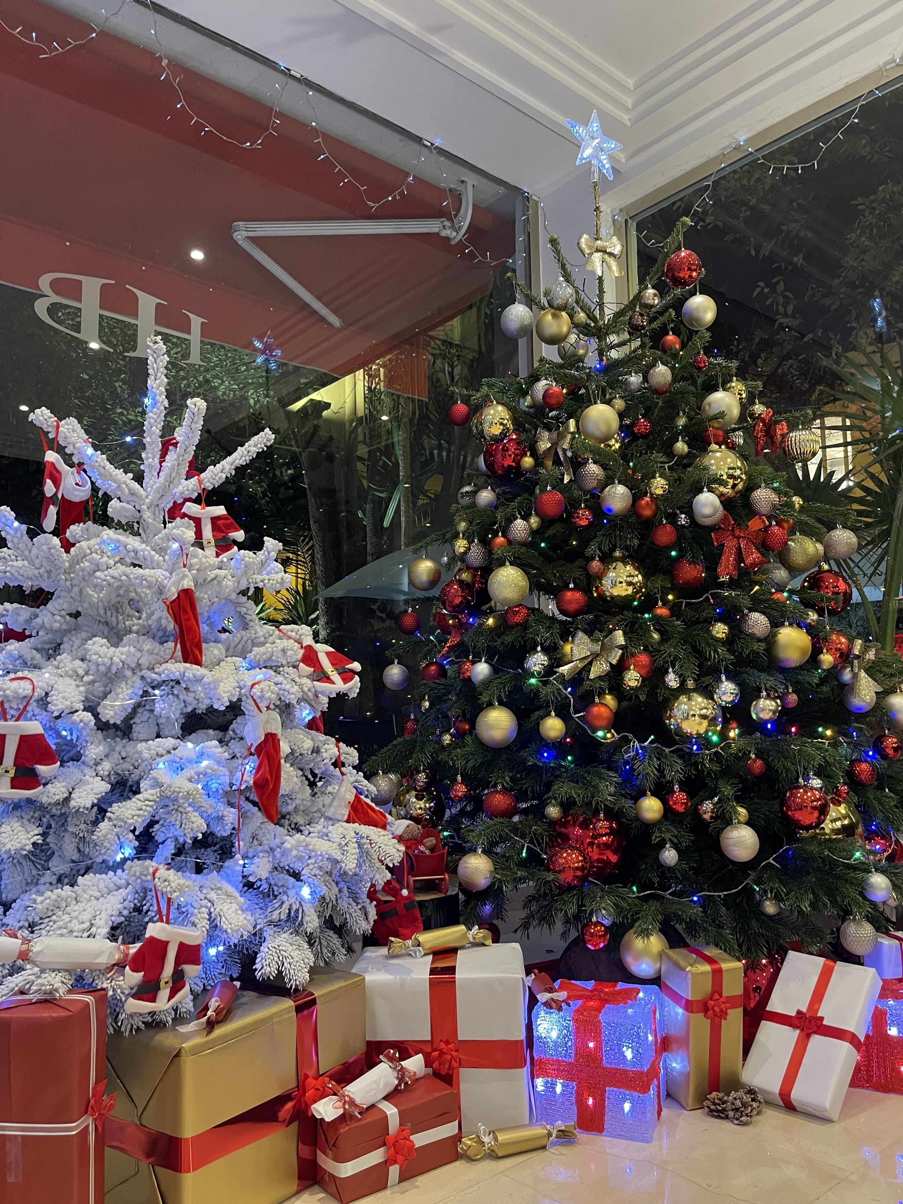Enjoy Christmas with your family at the Hotel Brice Garden Nice