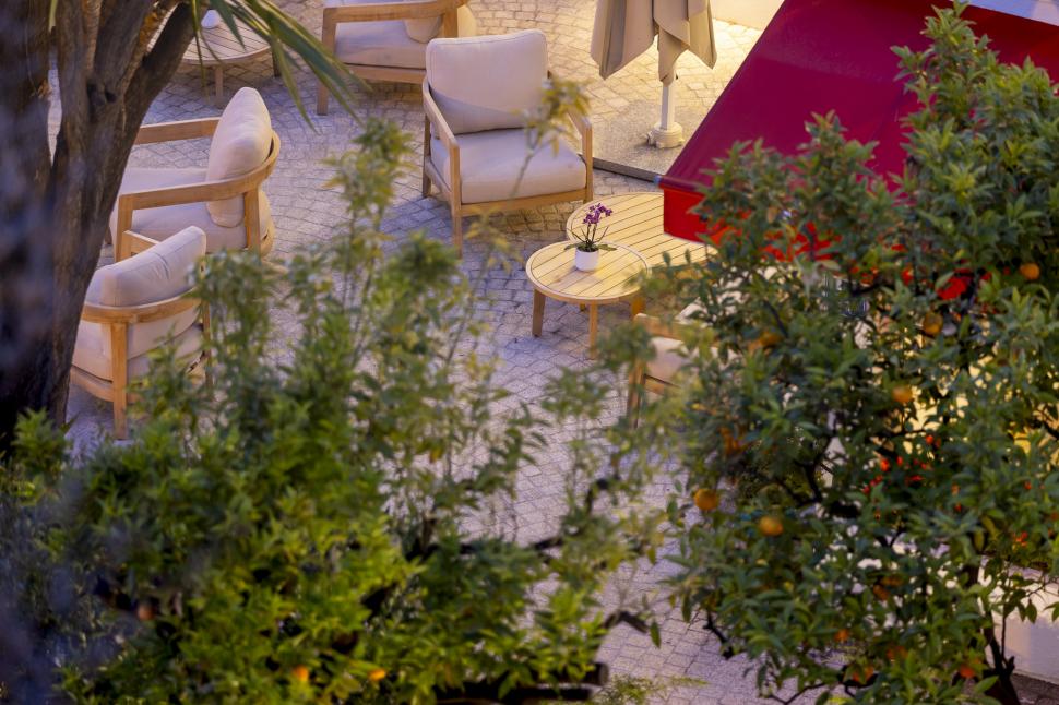 Hôtel - Services - Jardin