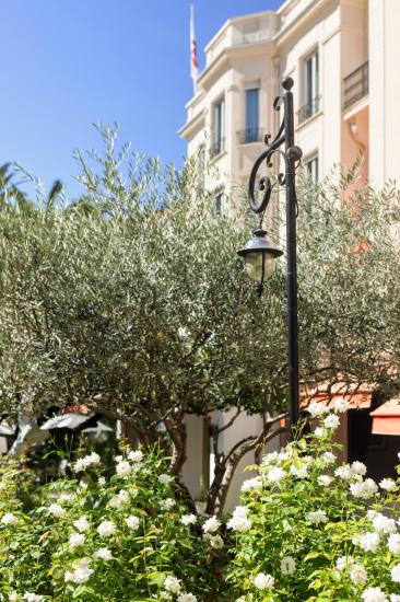Hôtel - Services - Jardin