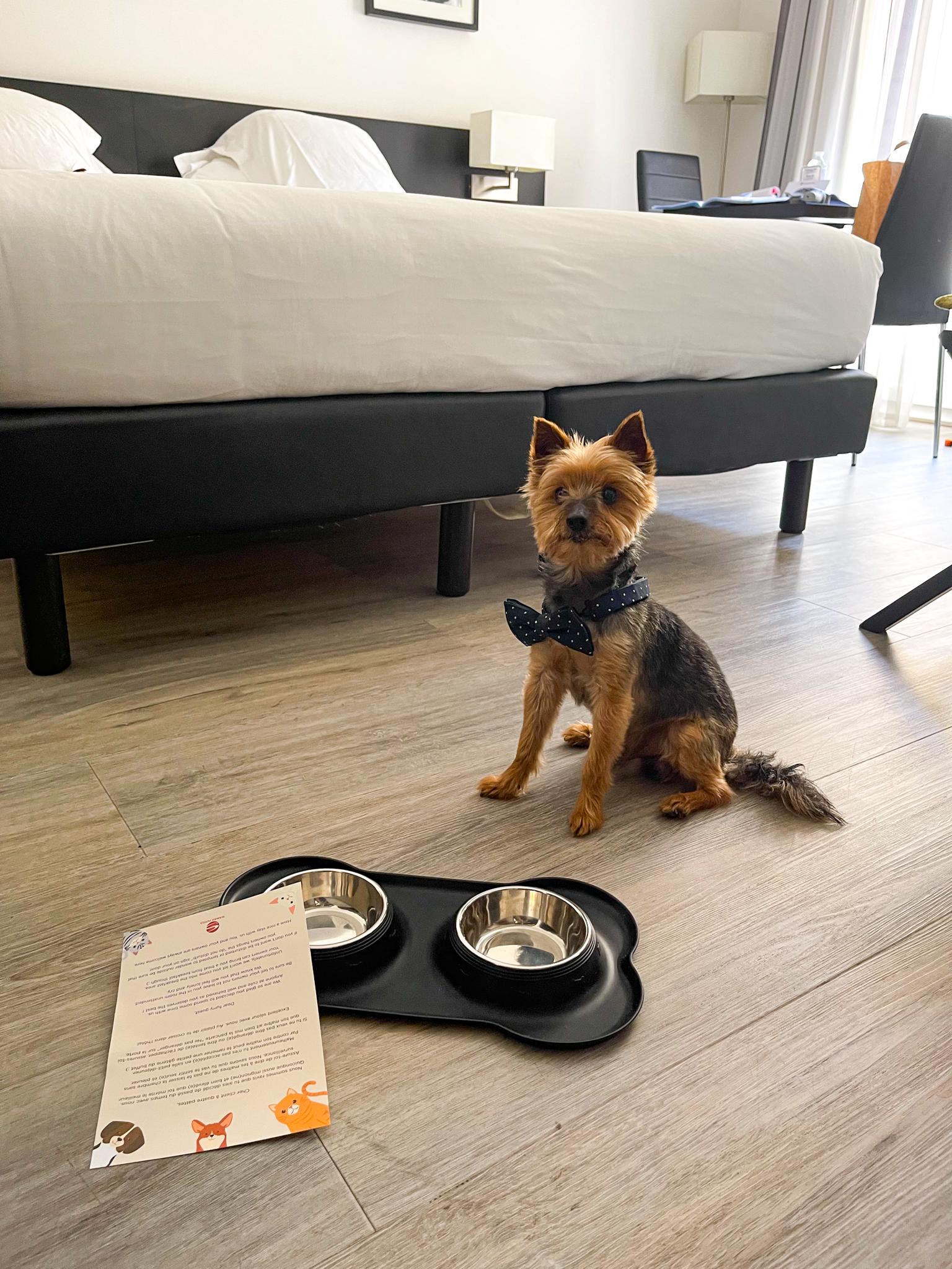 Hotel Brice Garden Nice : your 4* pet friendly hotel